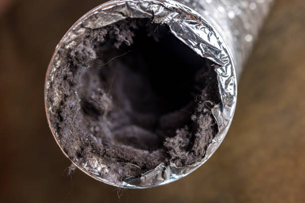 Best Dryer Vent Cleaning Services  in Westfield, IN